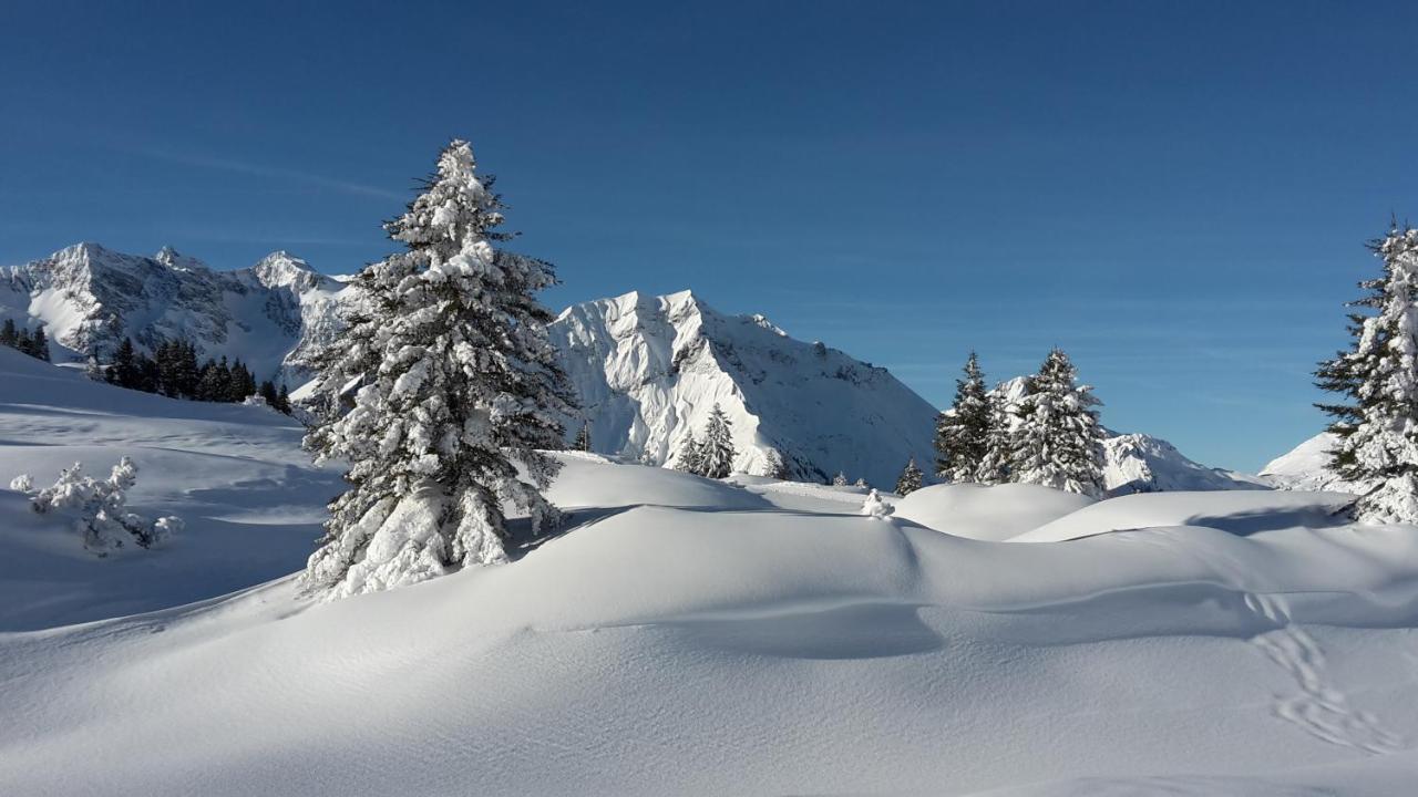 Landhaus Marion Holzgau Kültér fotó